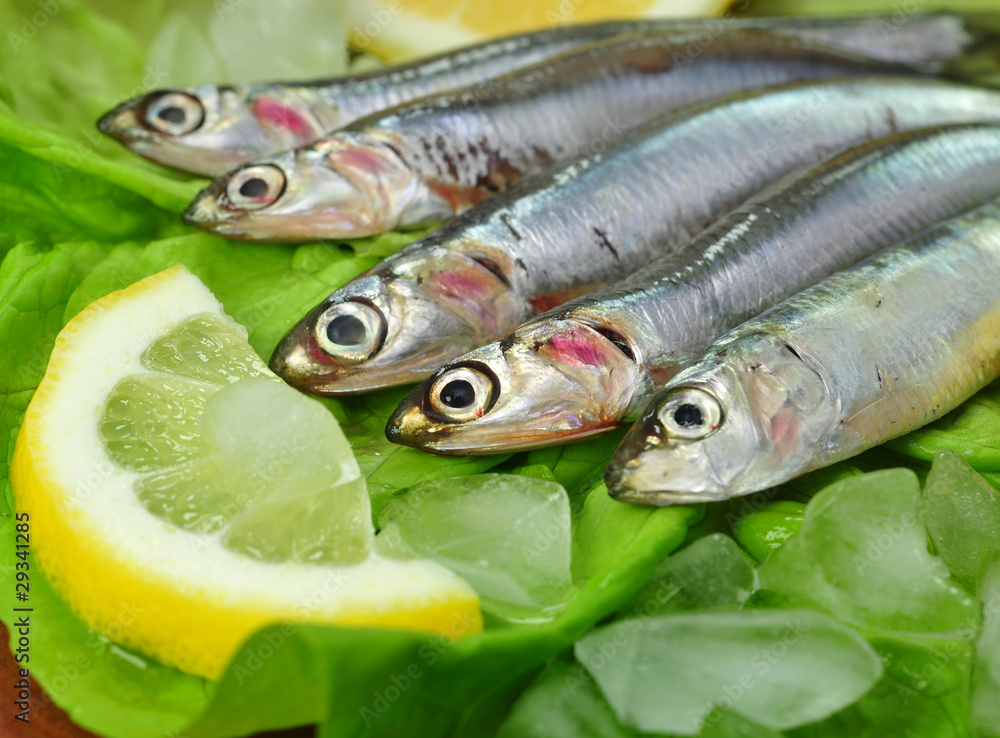 Fische, Eis Fische, Eis