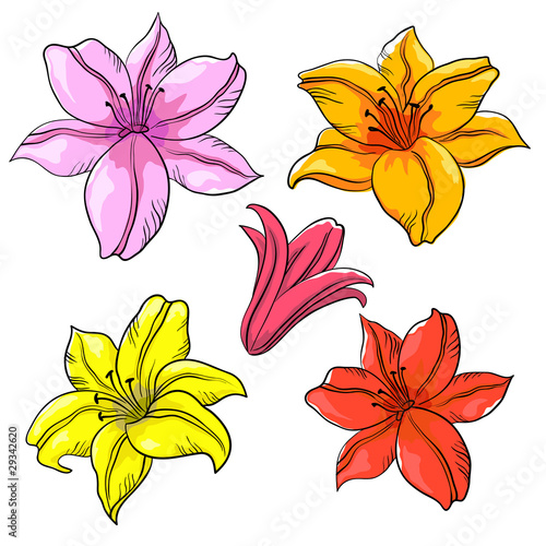 Flower, lily and mine