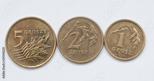 coins of polish currency zloty