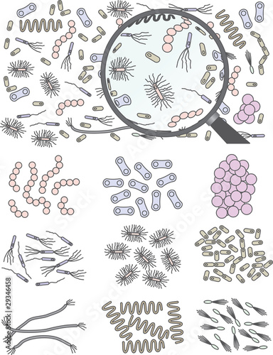 Colonies of bacteria and a magnifying glass.