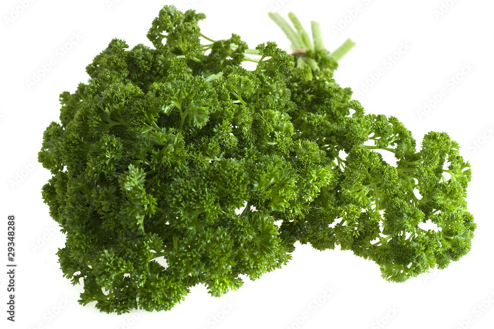Obraz premium Parsley on white background
