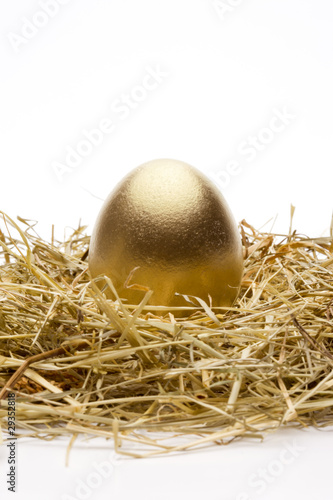 Goldenes Ei im Nest