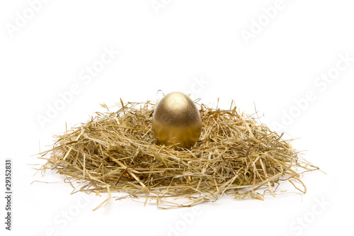 Goldenes Ei im Nest