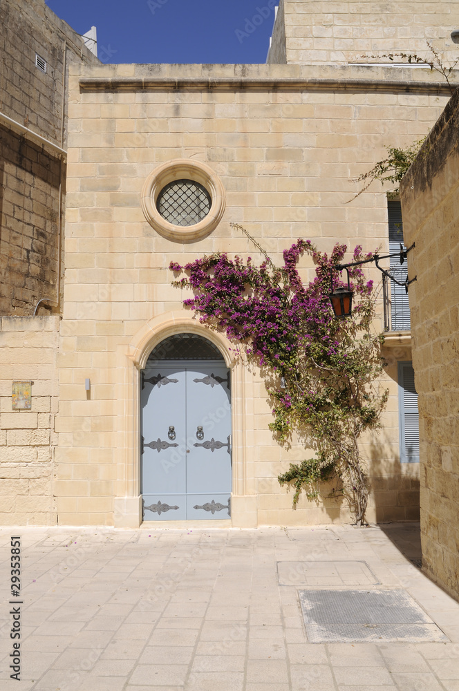 Maltese house with flowers & ornate blue door