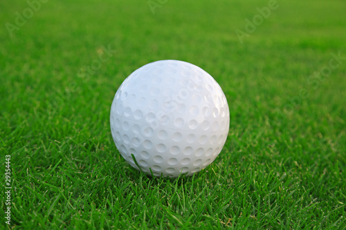 Golf ball on the green grass