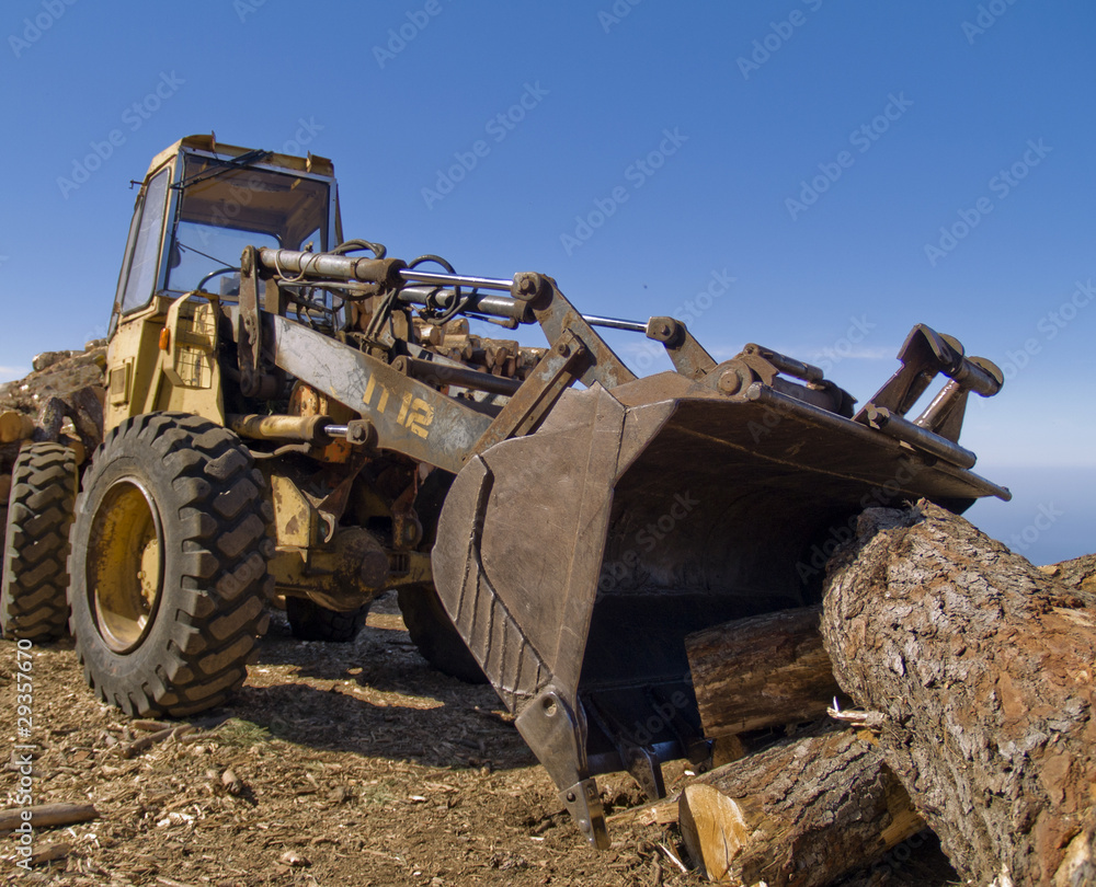 Fototapeta premium lumber industry