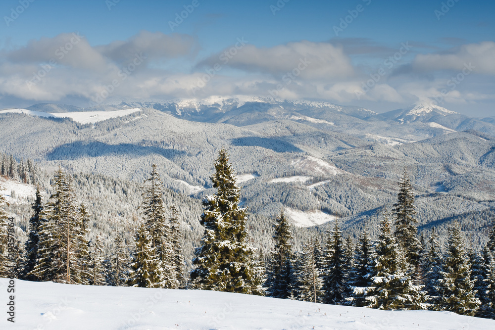 winter landscape