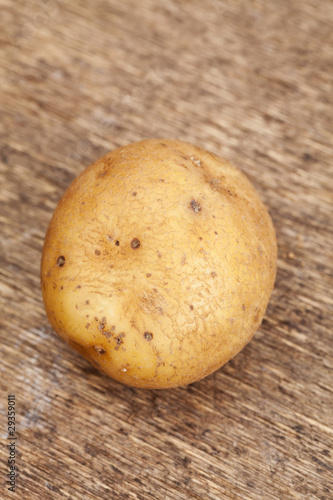 Potato