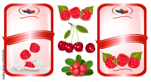 Set of labels with berries and fruit. Vector.