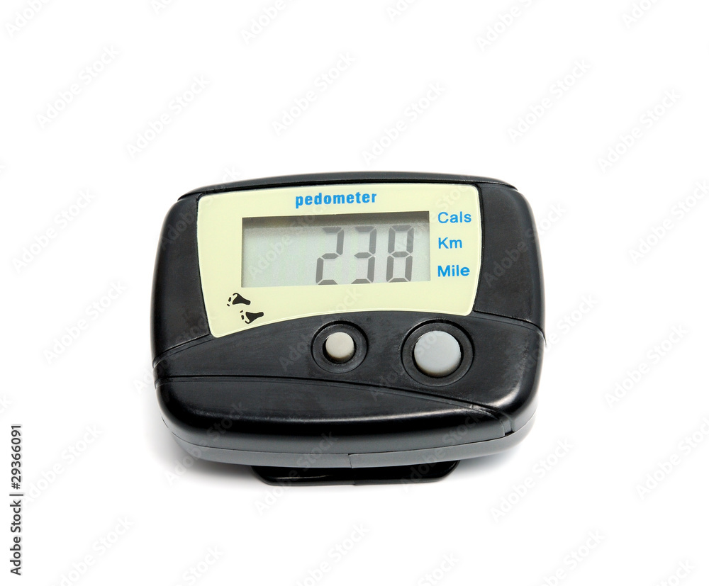 Digital Pedometer Digital Pedometer