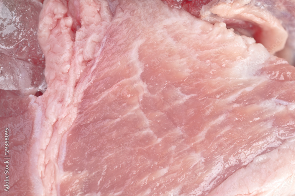 fresh meat fresh meat