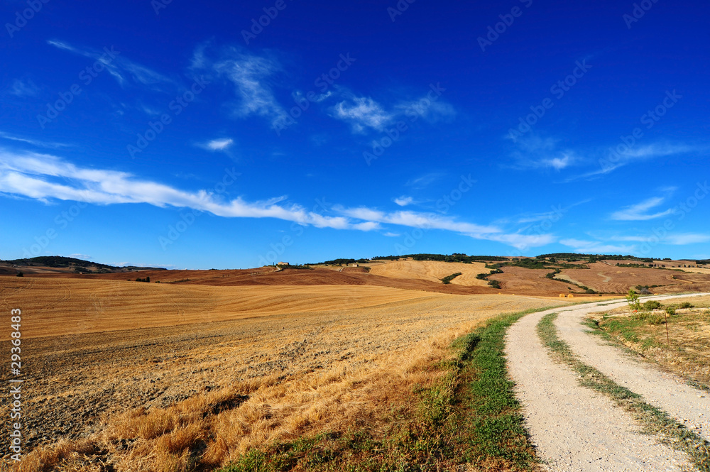 Naklejka premium Tuscany Road