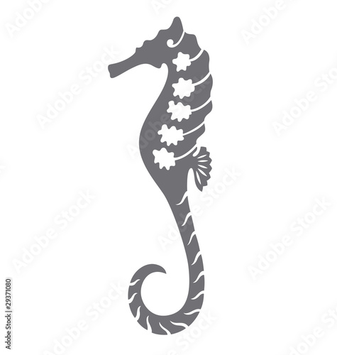 Decorative Sea Horse