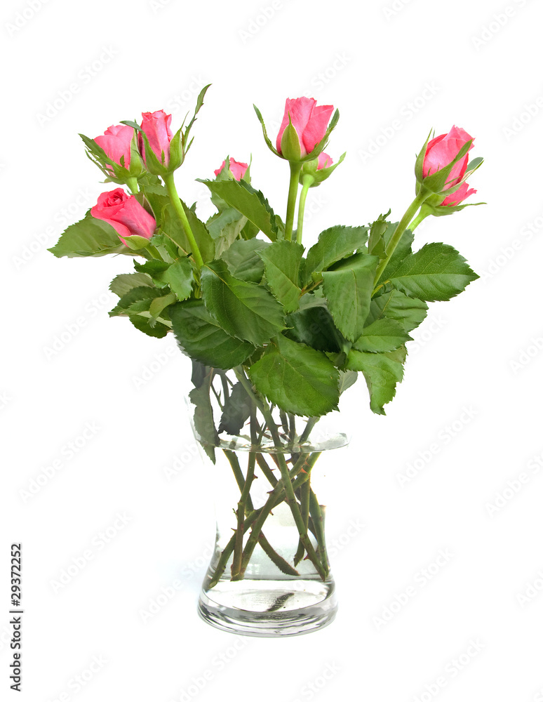 Obraz premium Bouquet of pink roses over white background