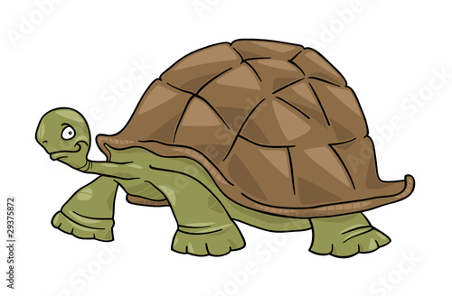 big turtle