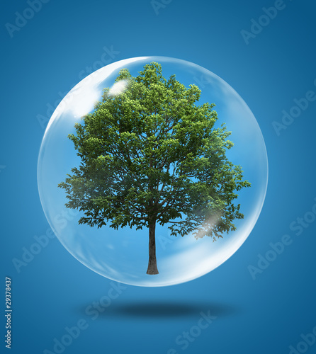 Tree in a bubble © adimas