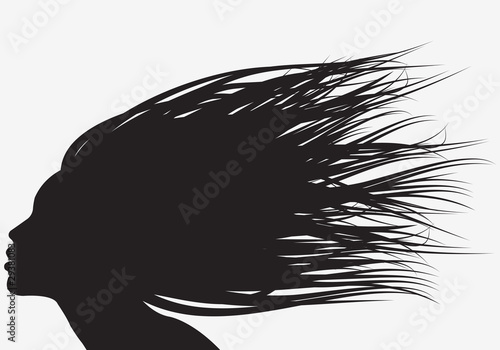 silhouette capelli