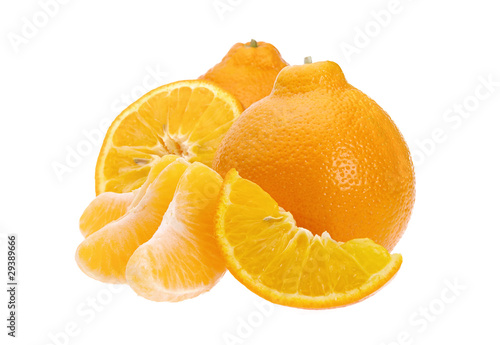 Minneola 01