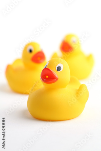 Rubber ducklings © IngridHS