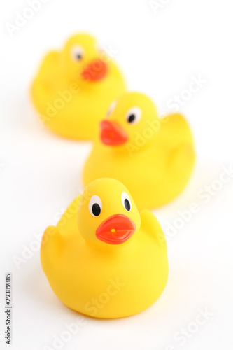 Rubber ducklings © IngridHS