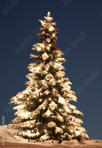 Weihnachtsbaum