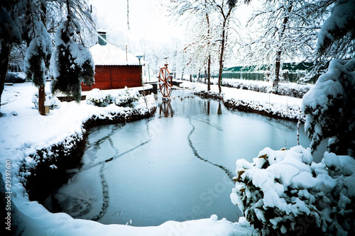 frozen pond photo