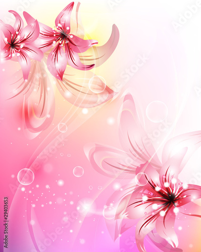 beautiful flowers.Lilies.