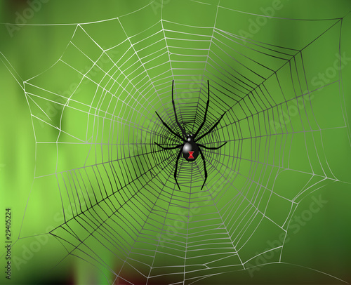 black  widow