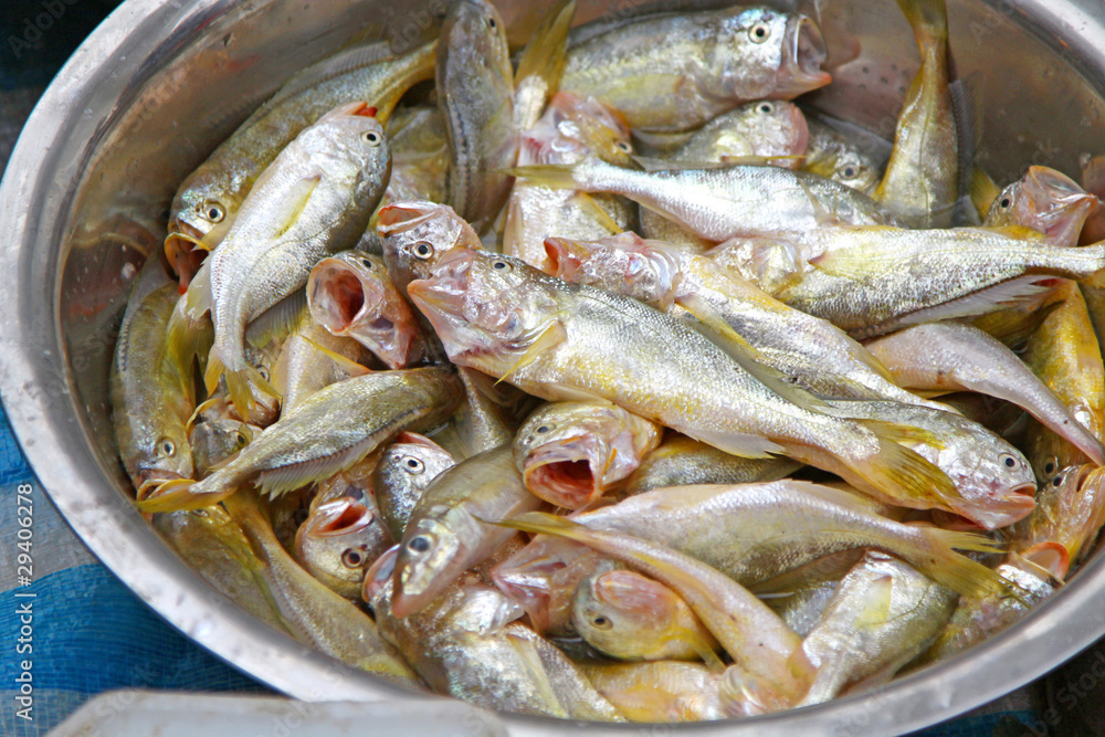 Fresh fishes for sale Fresh fishes for sale