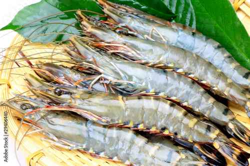 Cuadro en lienzo shrimp