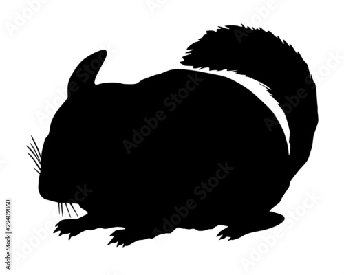 Chinchilla Silhouette photo