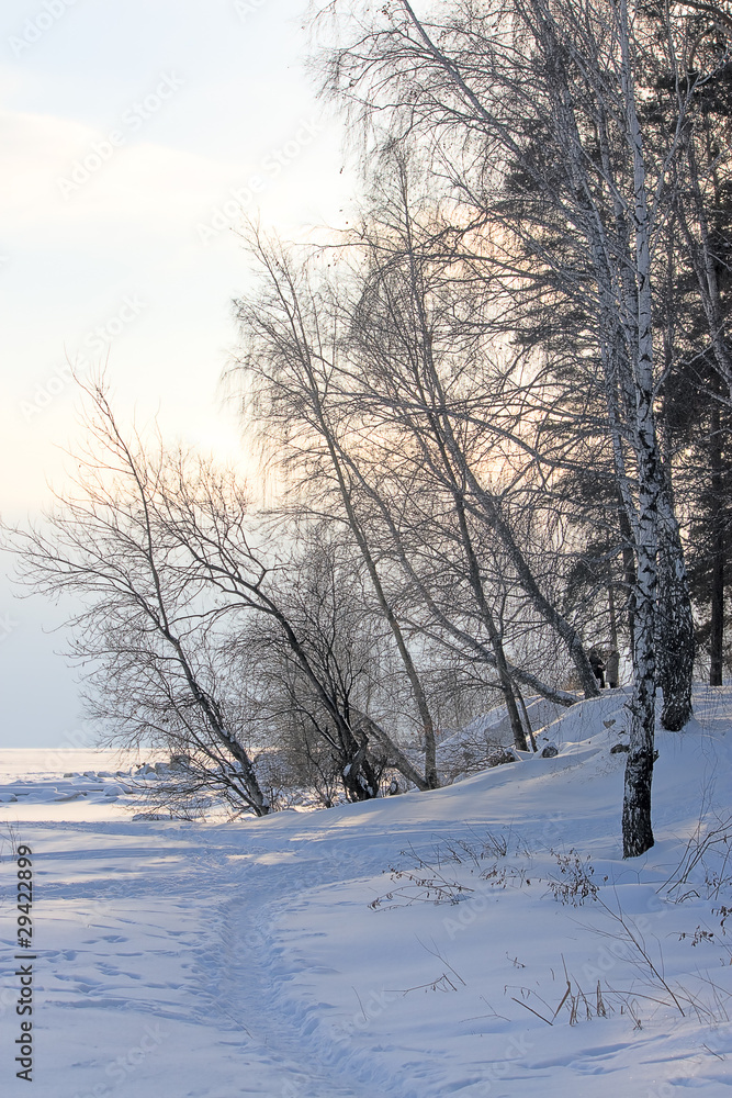 Fototapeta premium winter landscape