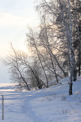 winter landscape © Zhanna Prokopeva