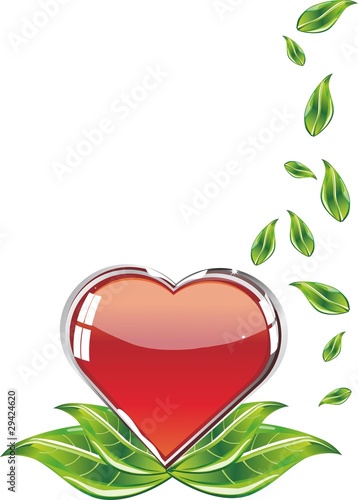 cuore
