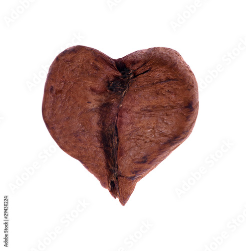 heart shape coffee bean