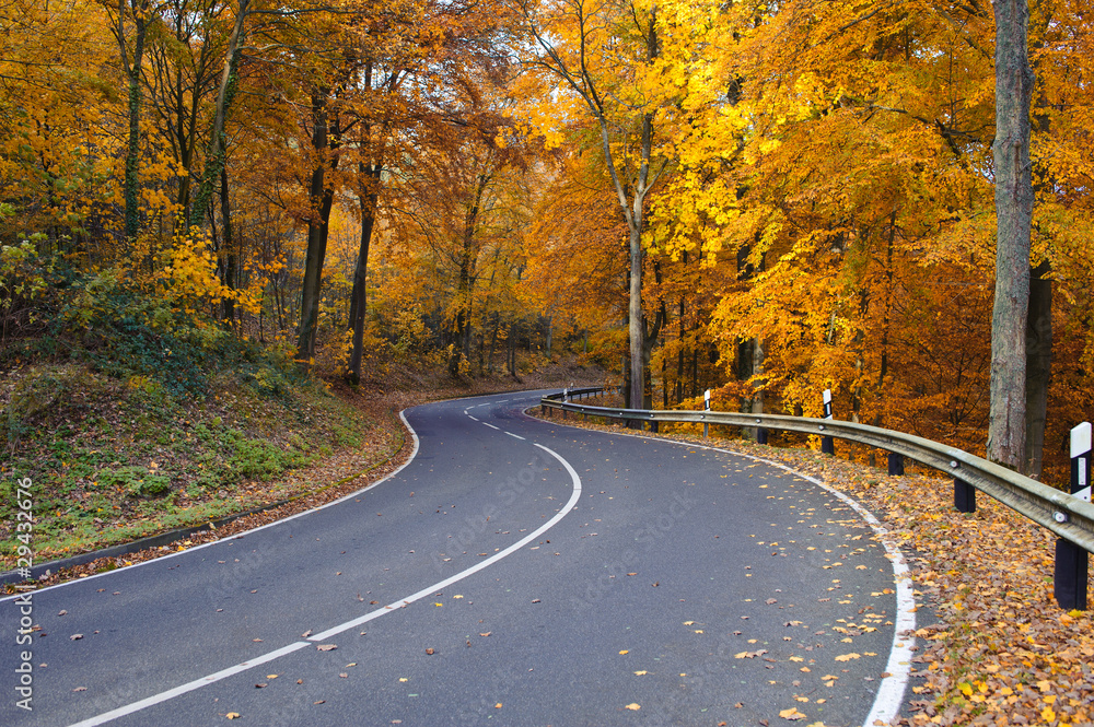 Straße durch herbstlichen Wald