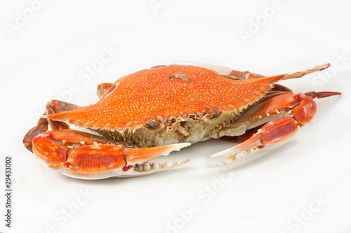 Crab