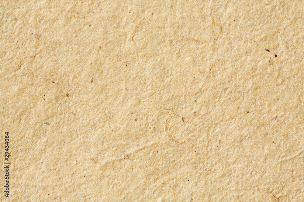 Paper Texture Paper Texture