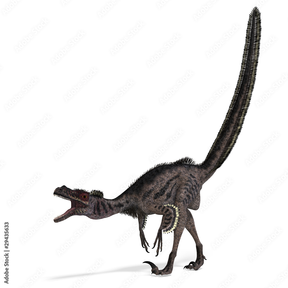 Dinosaur Velociraptor. 3D rendering with clipping path and Dinosaur Velociraptor. 3D rendering with clipping path and