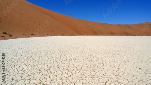 Dead vlei