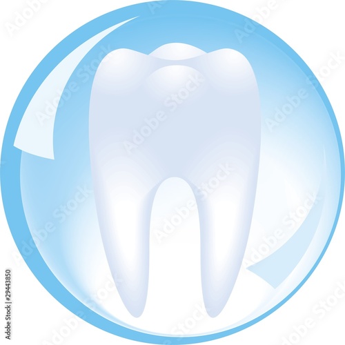 tooth is protected by a glass sphere of dentistry