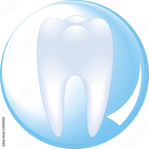 tooth is protected by a glass sphere of dentistry
