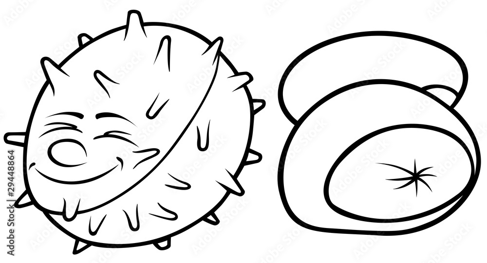 Conkers - Black and White Cartoon illustration Conkers - Black and White Cartoon illustration