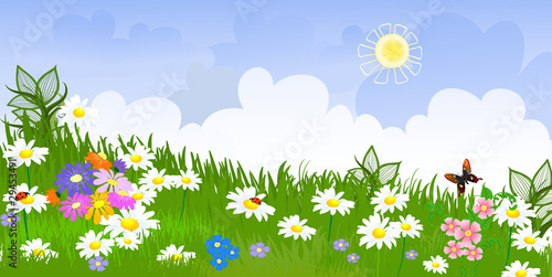 flower meadow panorama