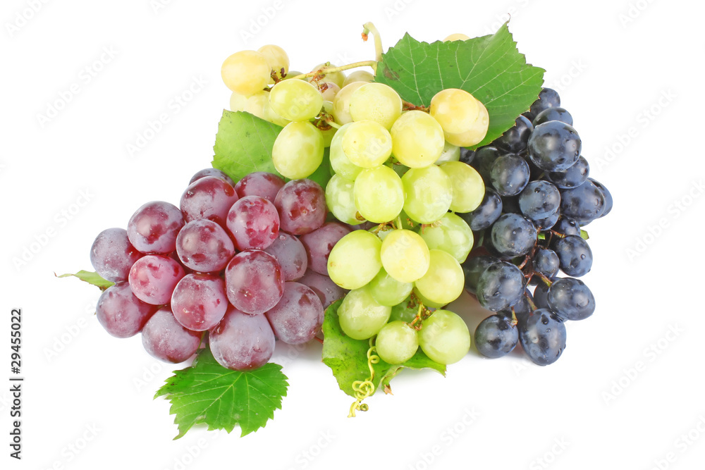 Collection of grape clusters