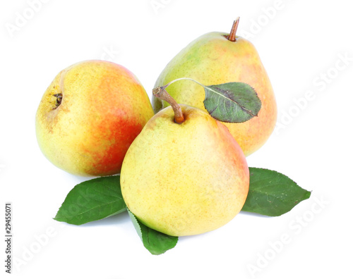 Pears with leaves