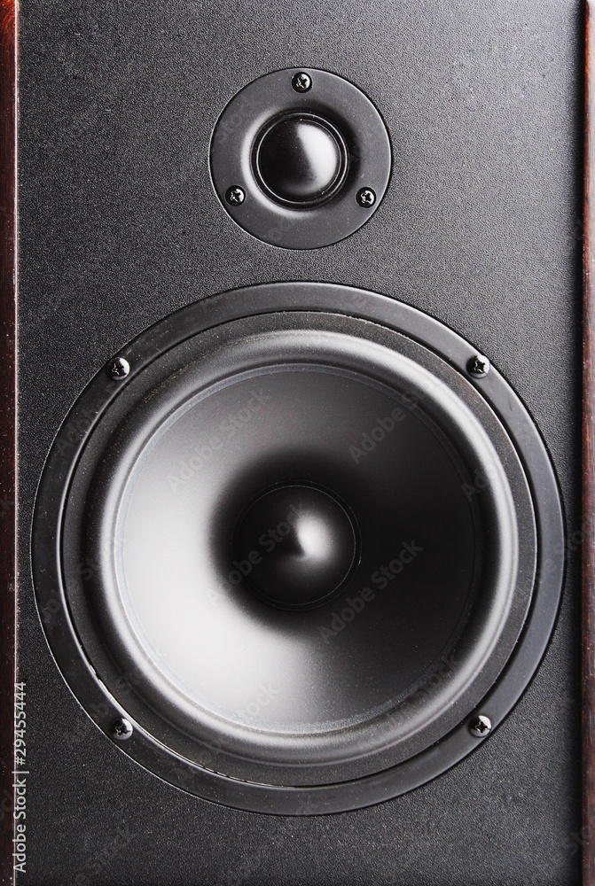 Audio speaker. The musical equipment Audio speaker. The musical equipment