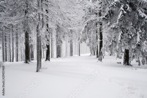 Piękne polskie góry Beskidy zimą