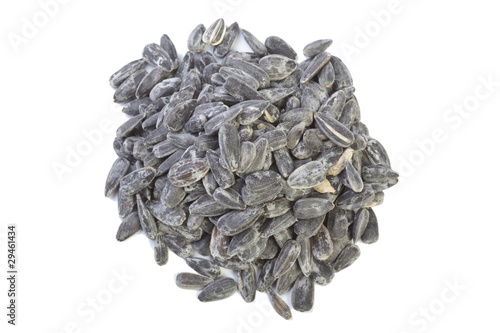 sunflower seeds isolated