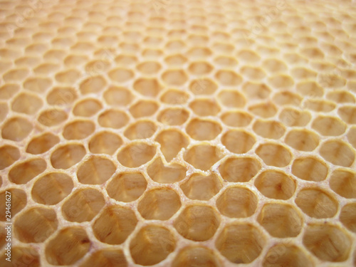 beeswax texture without honey